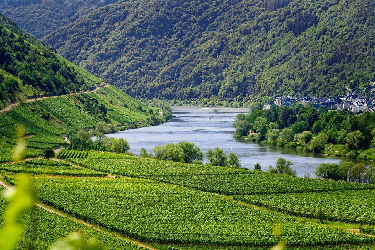 Read more about the article Das sind die bekanntesten Weinregionen Deutschlands